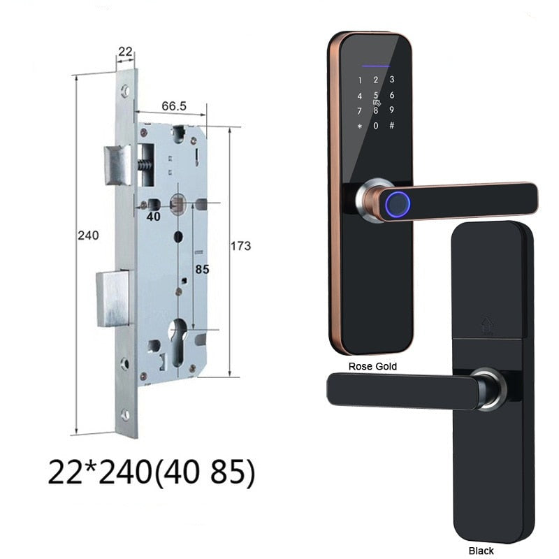 Nutikas ukselukk QLSL-19-WiFi